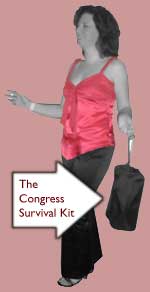 Survival kit - Salsa Diaries